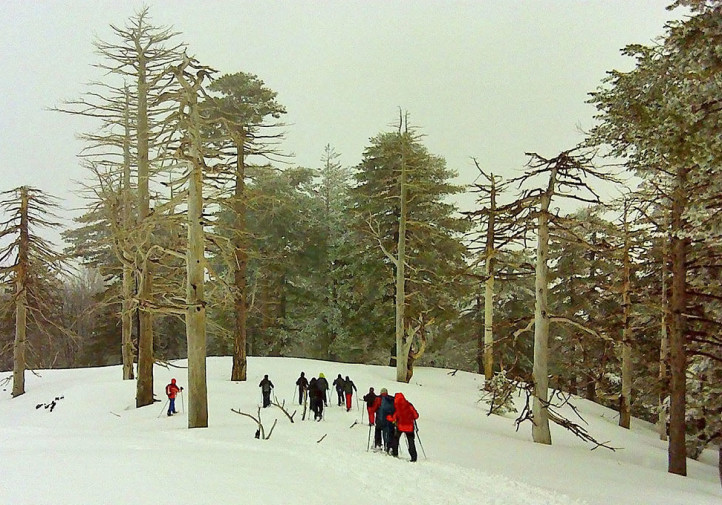 Una escursione di "Parco d'inverno 2015" - © Immagine fornita dal Parco dell'Etna