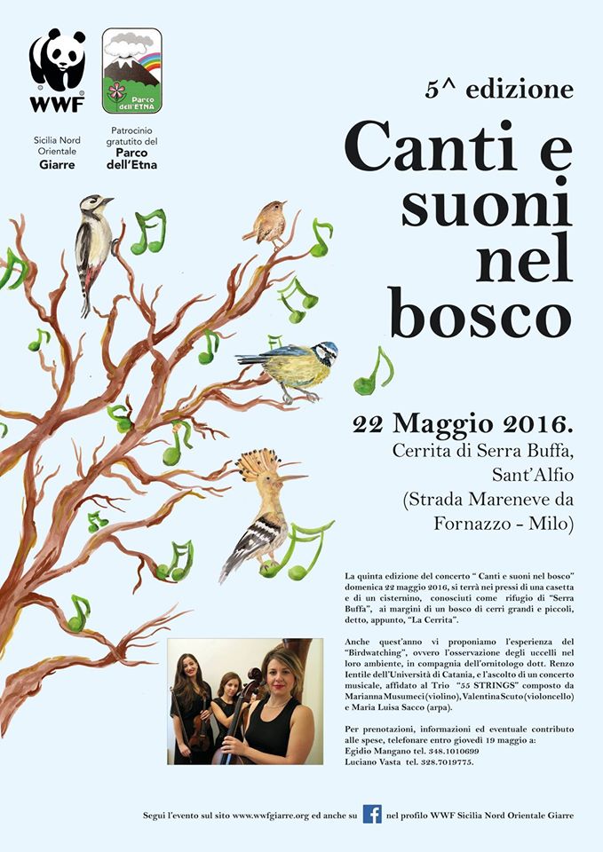 Canti e Suoni nel Bosco 2016